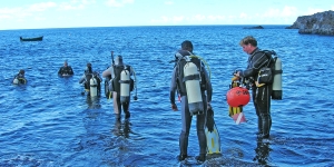 Divers with oxygen cylinders